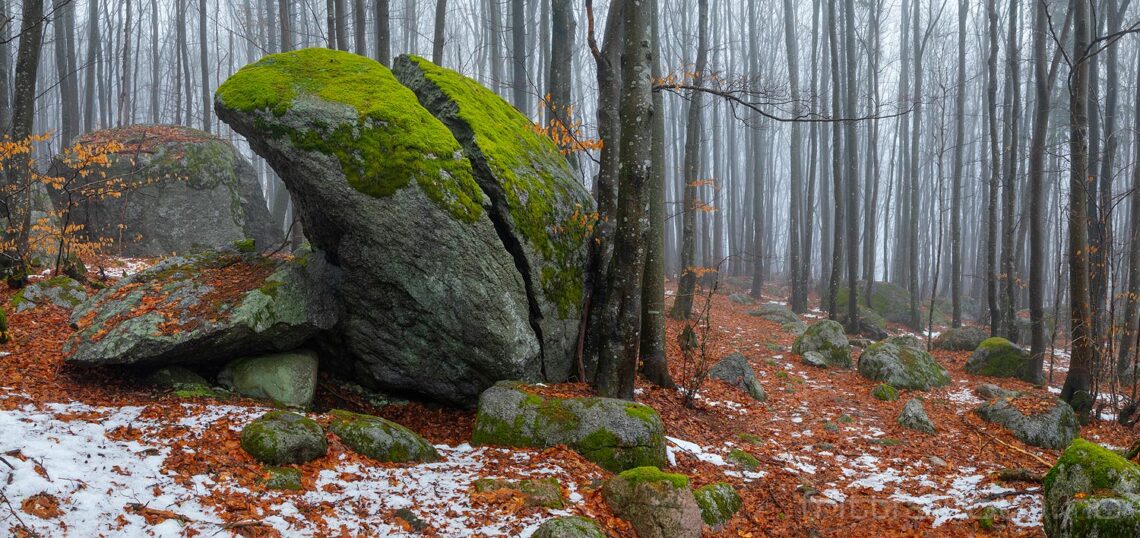 Trolsk vårstemning i Veldre naturminne, Larvik, Vestfold.<br>Bildenr 20230318-178-181.