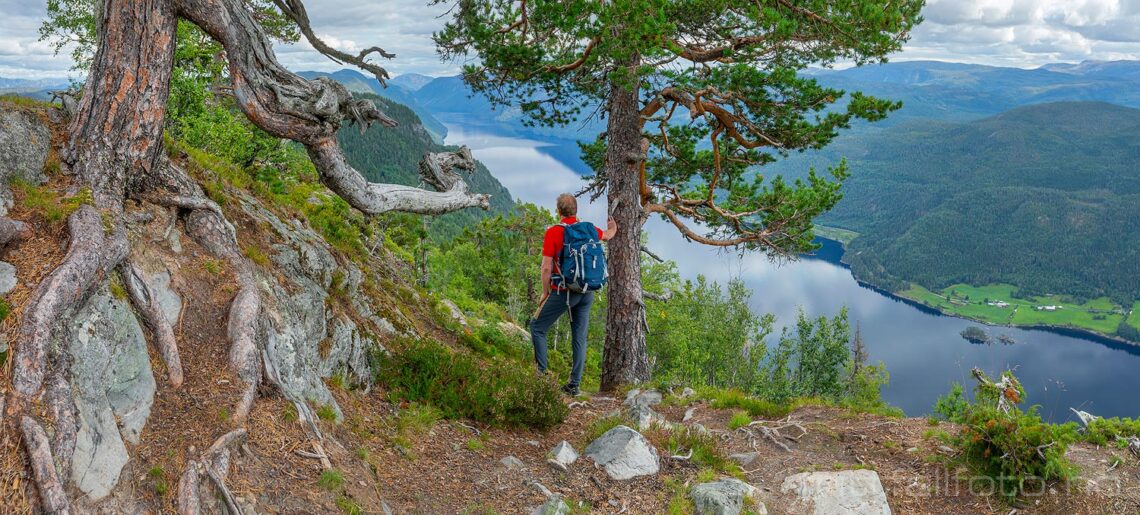 Trolsk natur langs Lårdalstigen, Tokke, Telemark.<br>Bildenr 20230829-355-361.