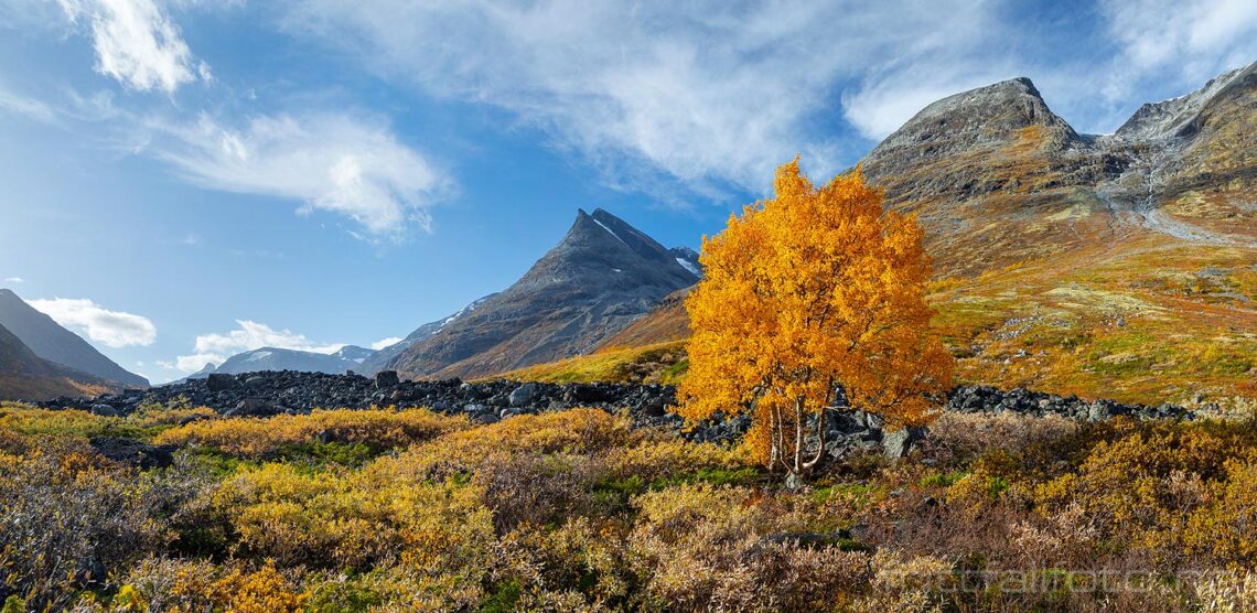 Jotunheimens høstfarger dominerer i Leirdalen, Lom, Innlandet.<br>Bildenr 20230926-304-308.